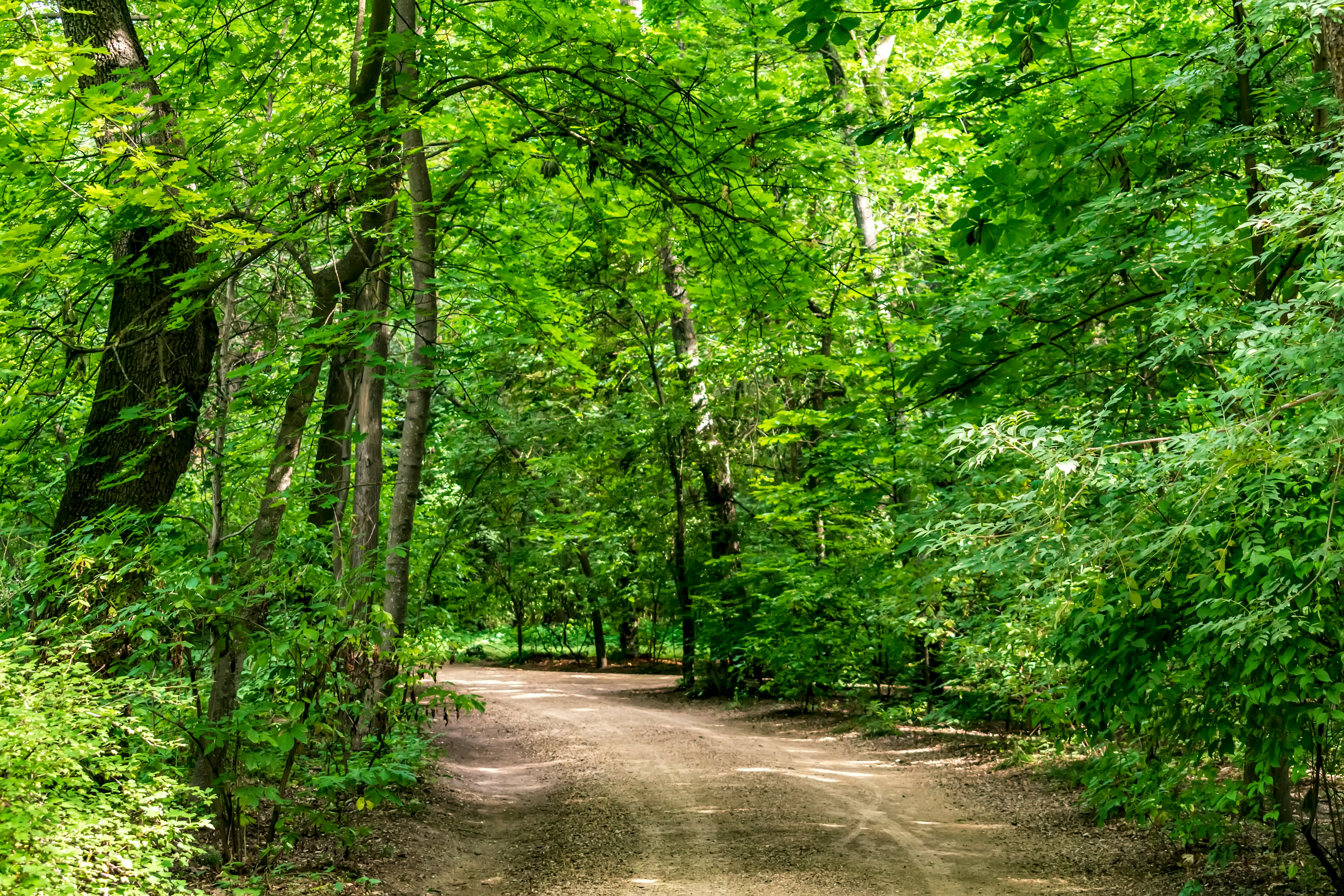 ZIUA INTERNAȚIONALĂ A BIODIVERSITĂȚII